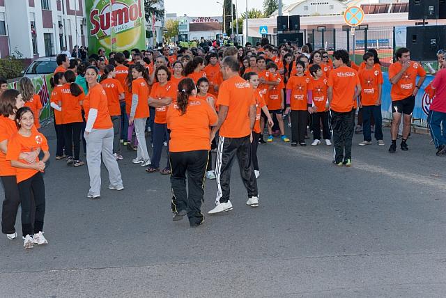 VCF 0704